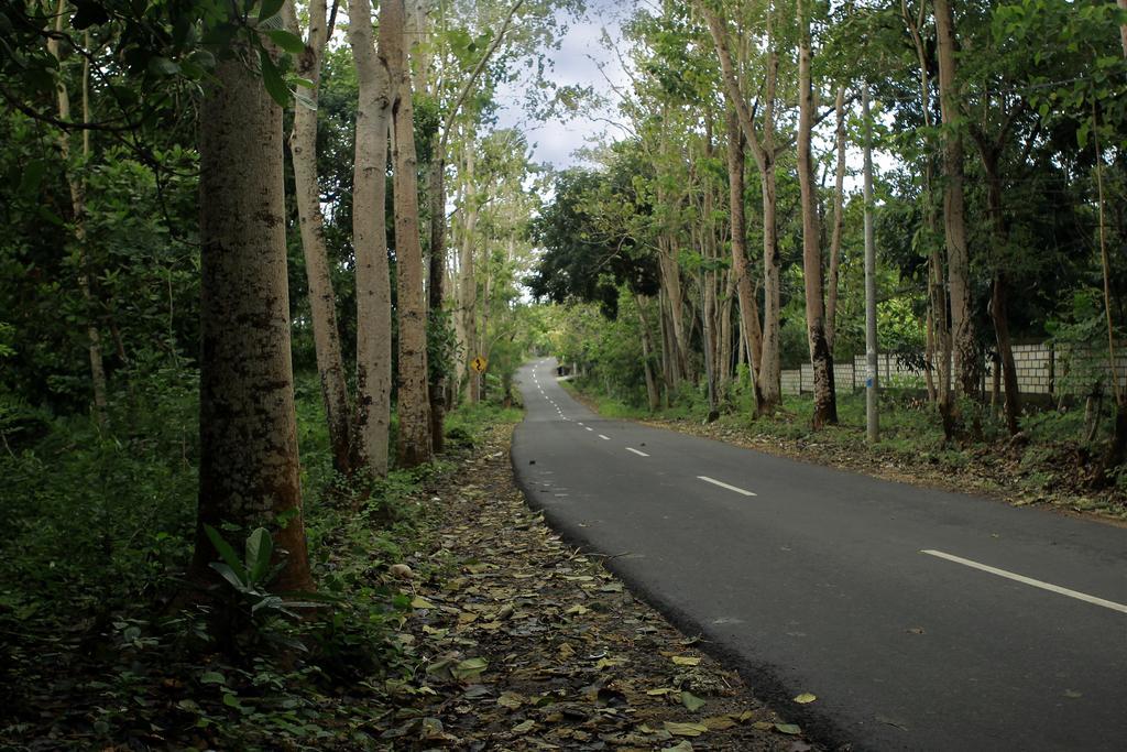 The Wyn Villa 乌鲁瓦图 外观 照片